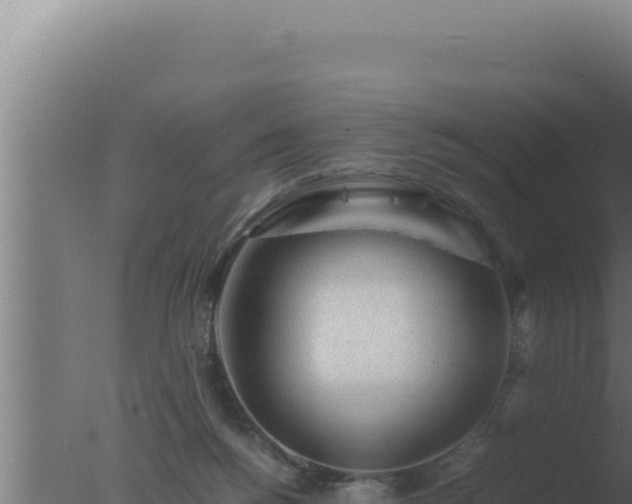 X0000077380168200610271955