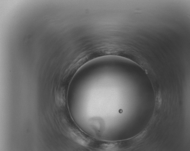 X0000077380170200610271955