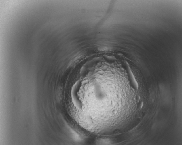 X0000077380171200610271955