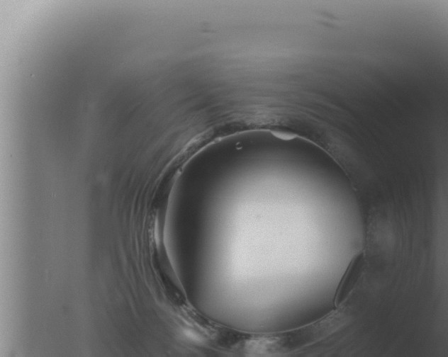 X0000077380172200610271955