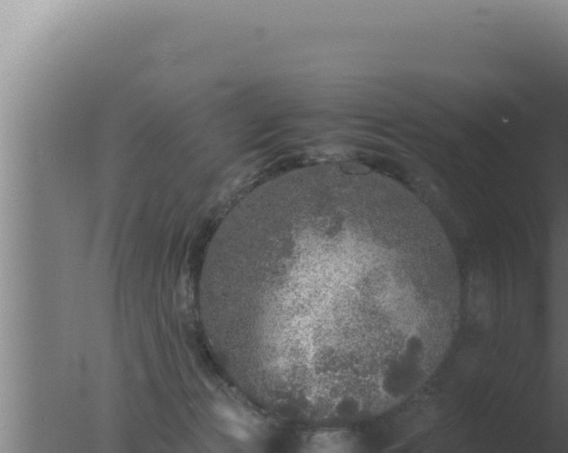 X0000077380173200610271955