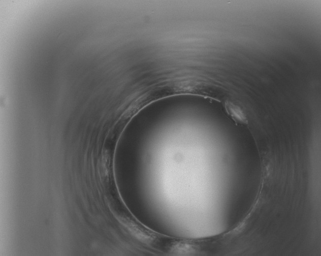 X0000077380174200610271955