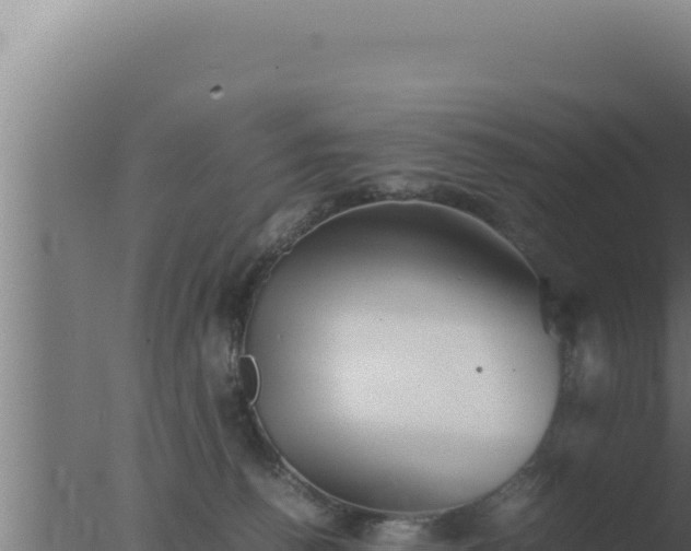 X0000077380176200610271955