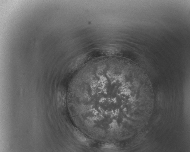 X0000077380177200610271955