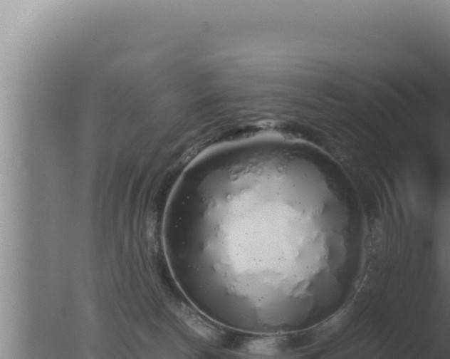 X0000077380178200610271955