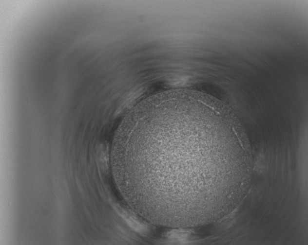 X0000077380179200610271955