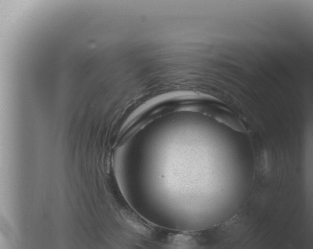 X0000077380180200610271955