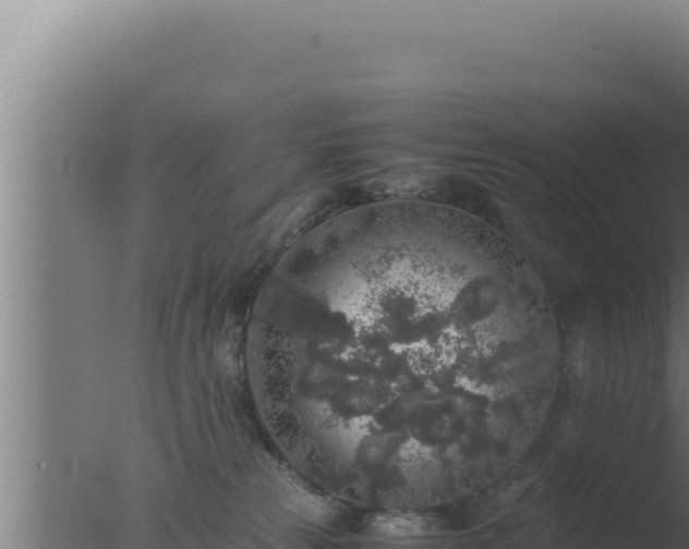 X0000077380181200610271955