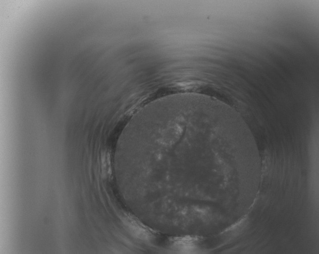 X0000077380182200610271955