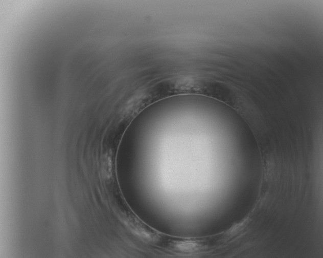 X0000077380183200610271955