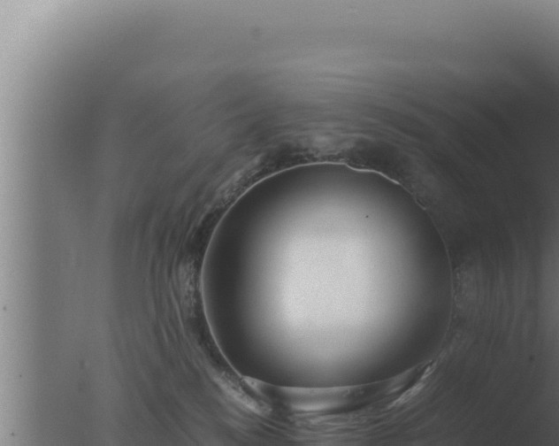 X0000077380184200610271955