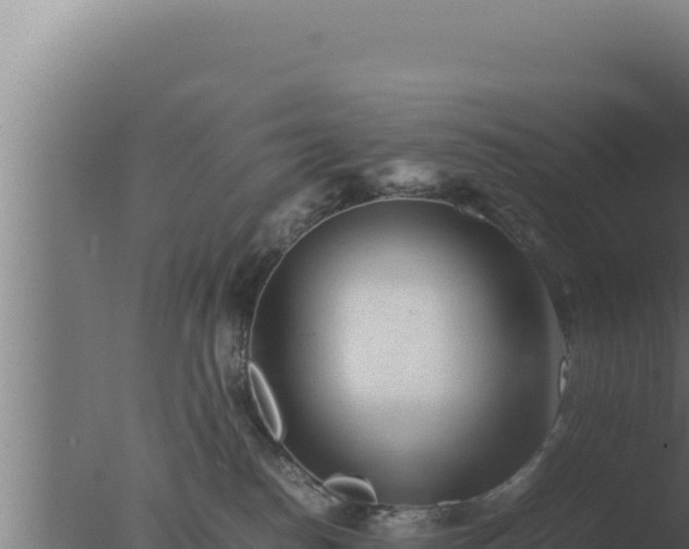 X0000077380186200610271955