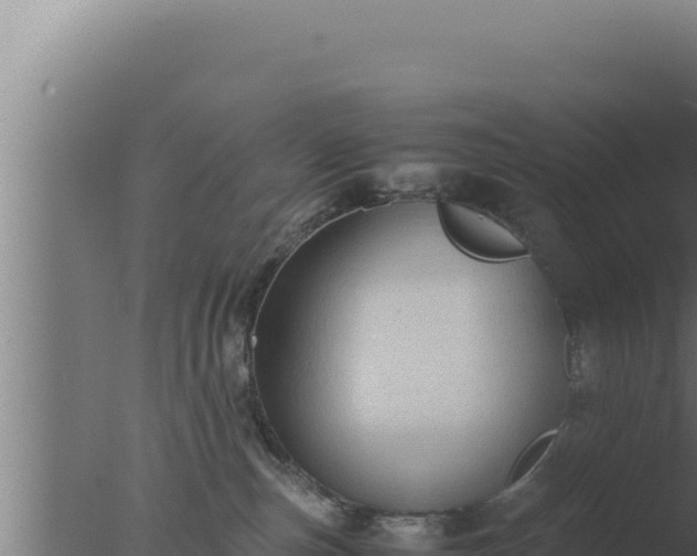 X0000077380187200610271955