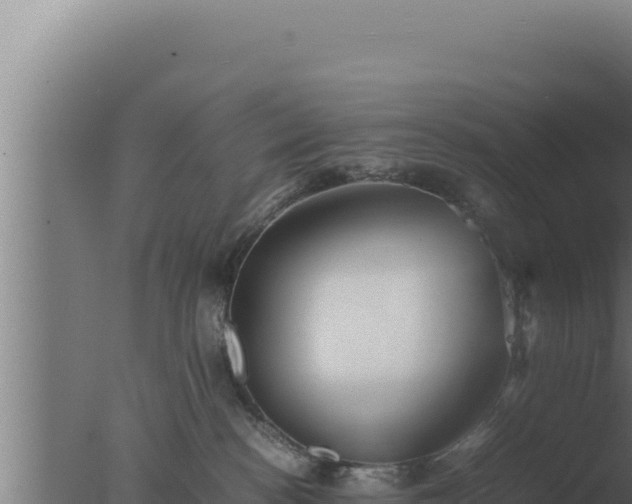 X0000077380188200610271955