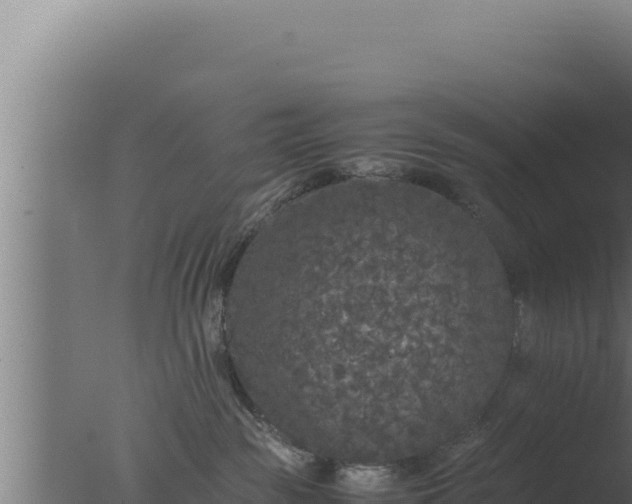 X0000077380189200610271956