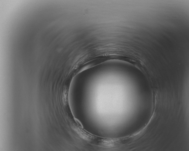 X0000077380190200610271956