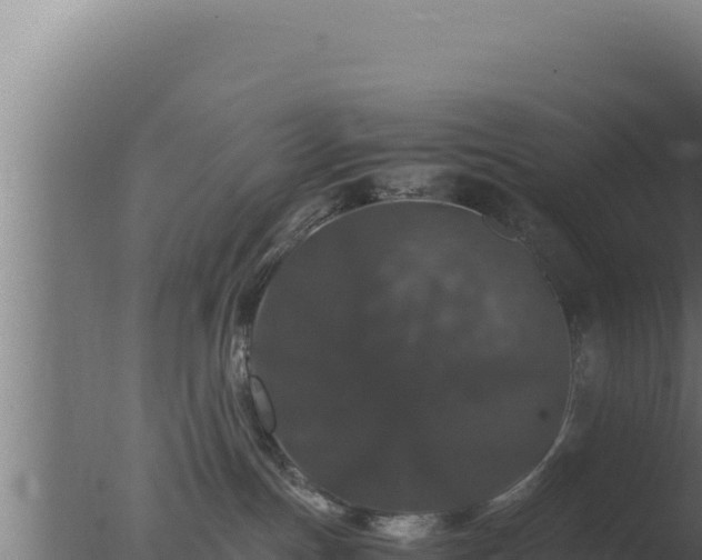 X0000077380191200610271956