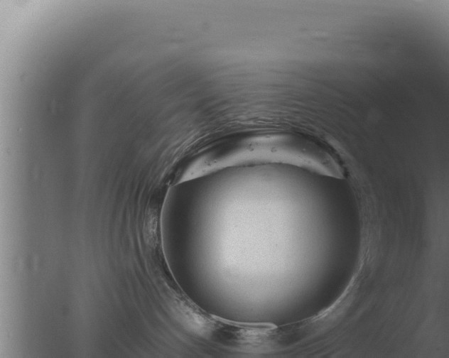 X0000077380192200610271956