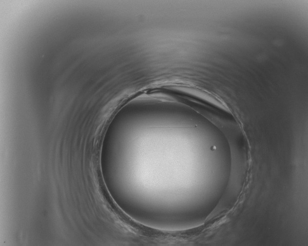 X0000077380193200610271955