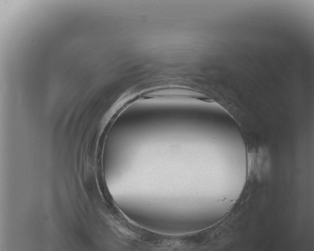 X0000077380195200610271955