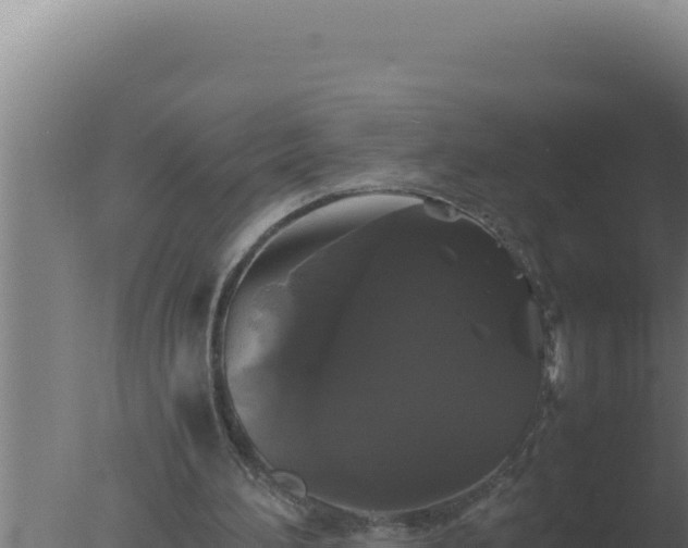 X0000077380196200610271955