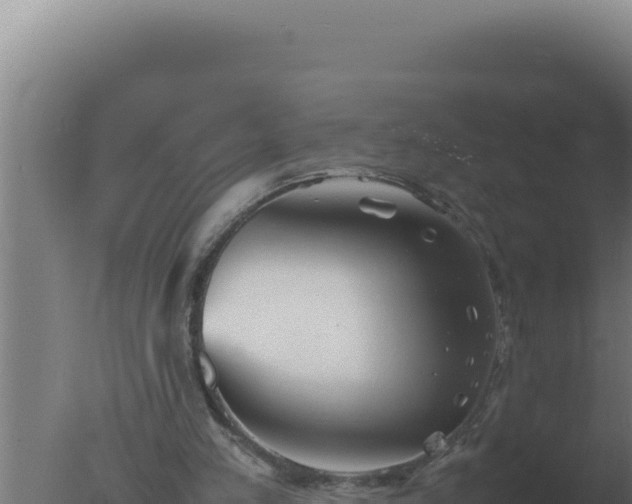 X0000077380197200610271955