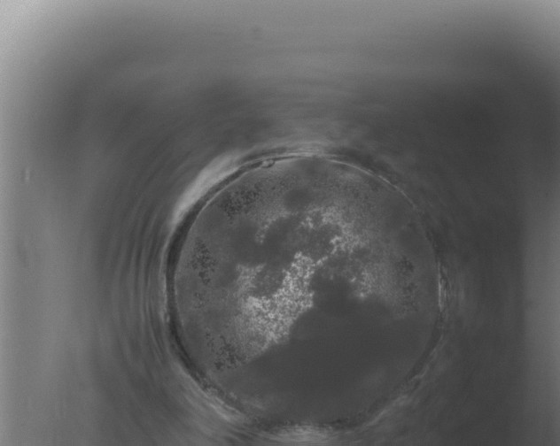 X0000077380198200610271955