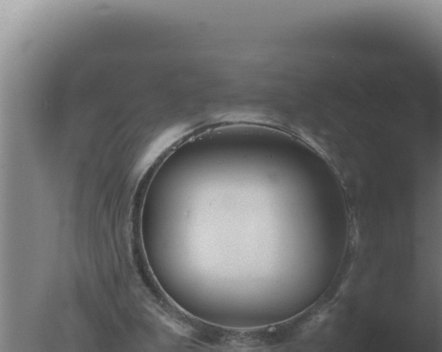 X0000077380199200610271955