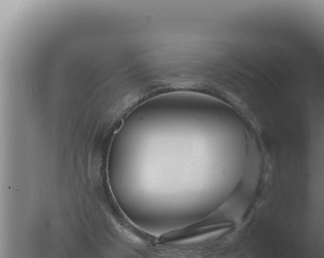 X0000077380201200610271955