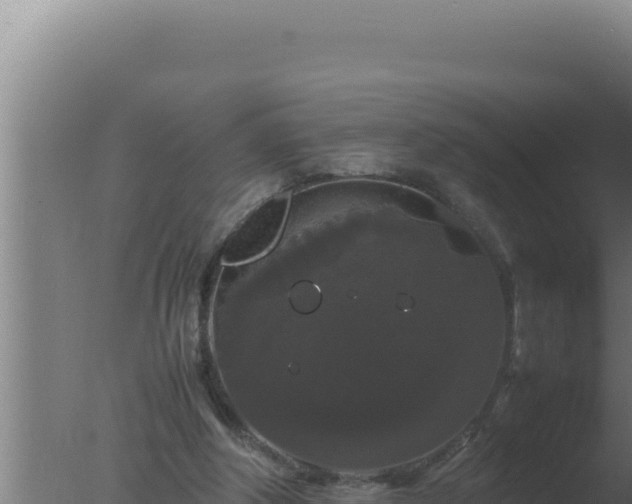 X0000077380202200610271955