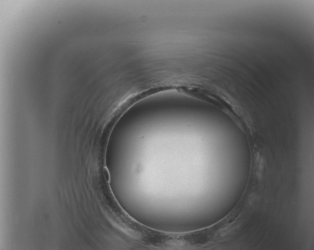 X0000077380203200610271955