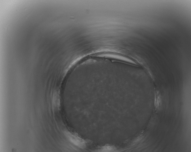 X0000077380204200610271955