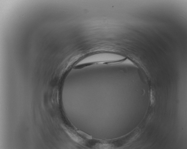 X0000077380205200610271955