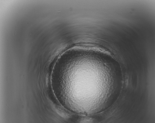 X0000077380206200610271955