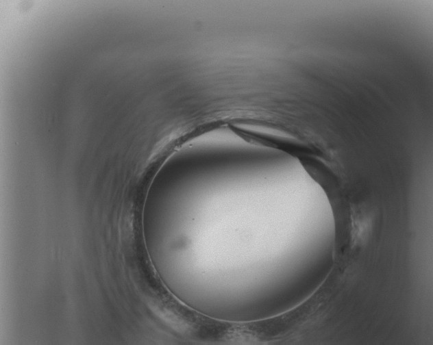 X0000077380207200610271955