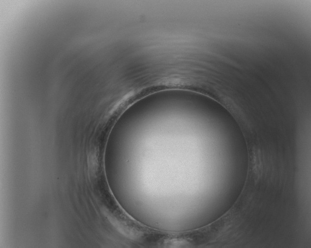 X0000077380208200610271954