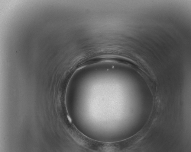 X0000077380209200610271954