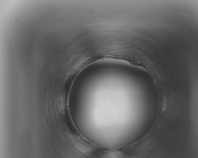 X0000077380210200610271954