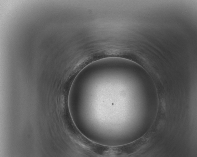 X0000077380211200610271954