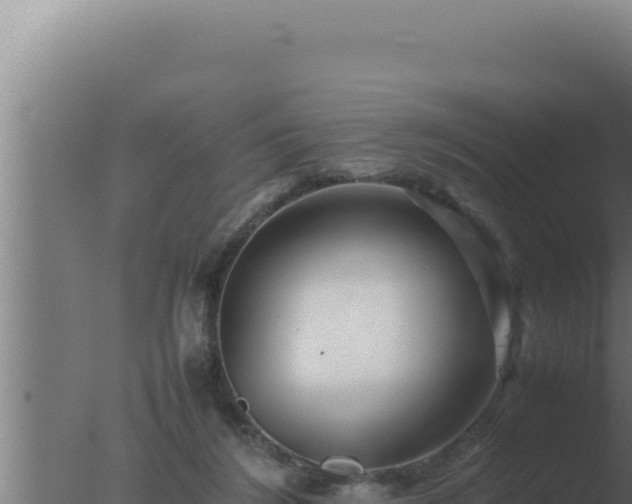 X0000077380212200610271954