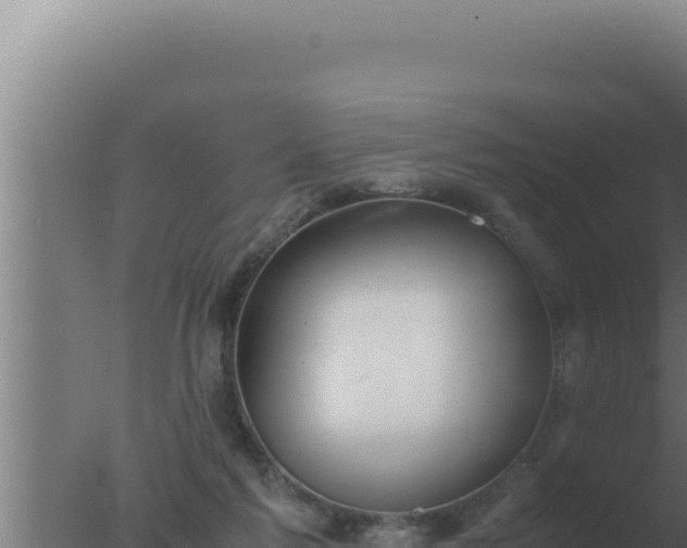 X0000077380213200610271954