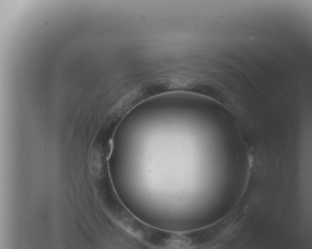 X0000077380215200610271954