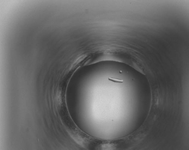 X0000077380216200610271954