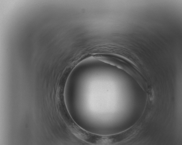 X0000077380217200610271954