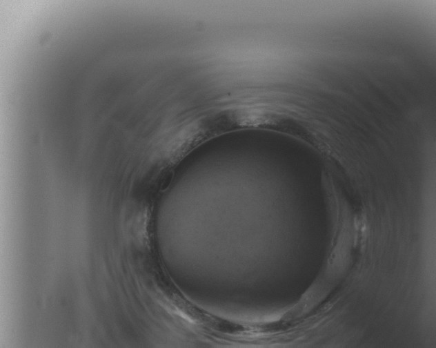 X0000077380219200610271954