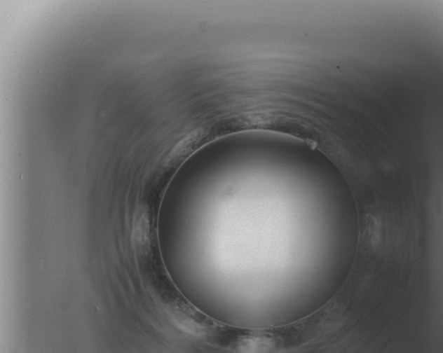 X0000077380220200610271954