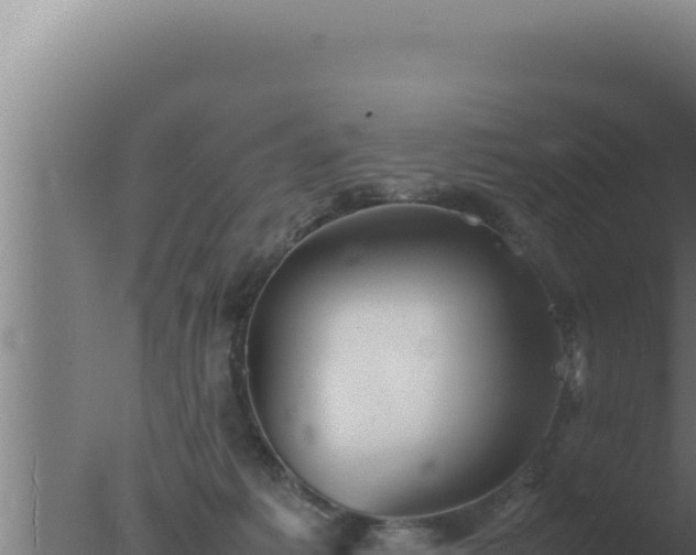 X0000077380221200610271954