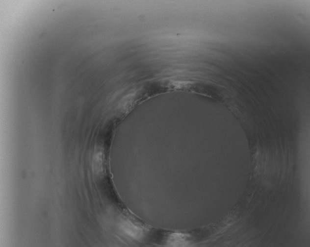 X0000077380222200610271954