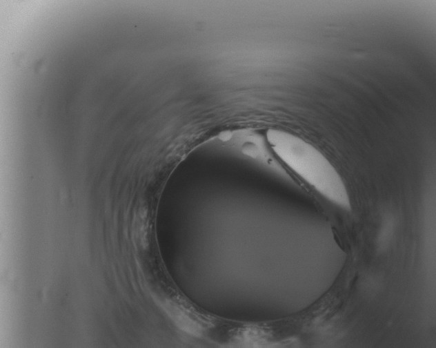 X0000077380223200610271954