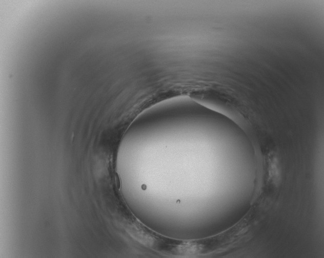 X0000077380225200610271954